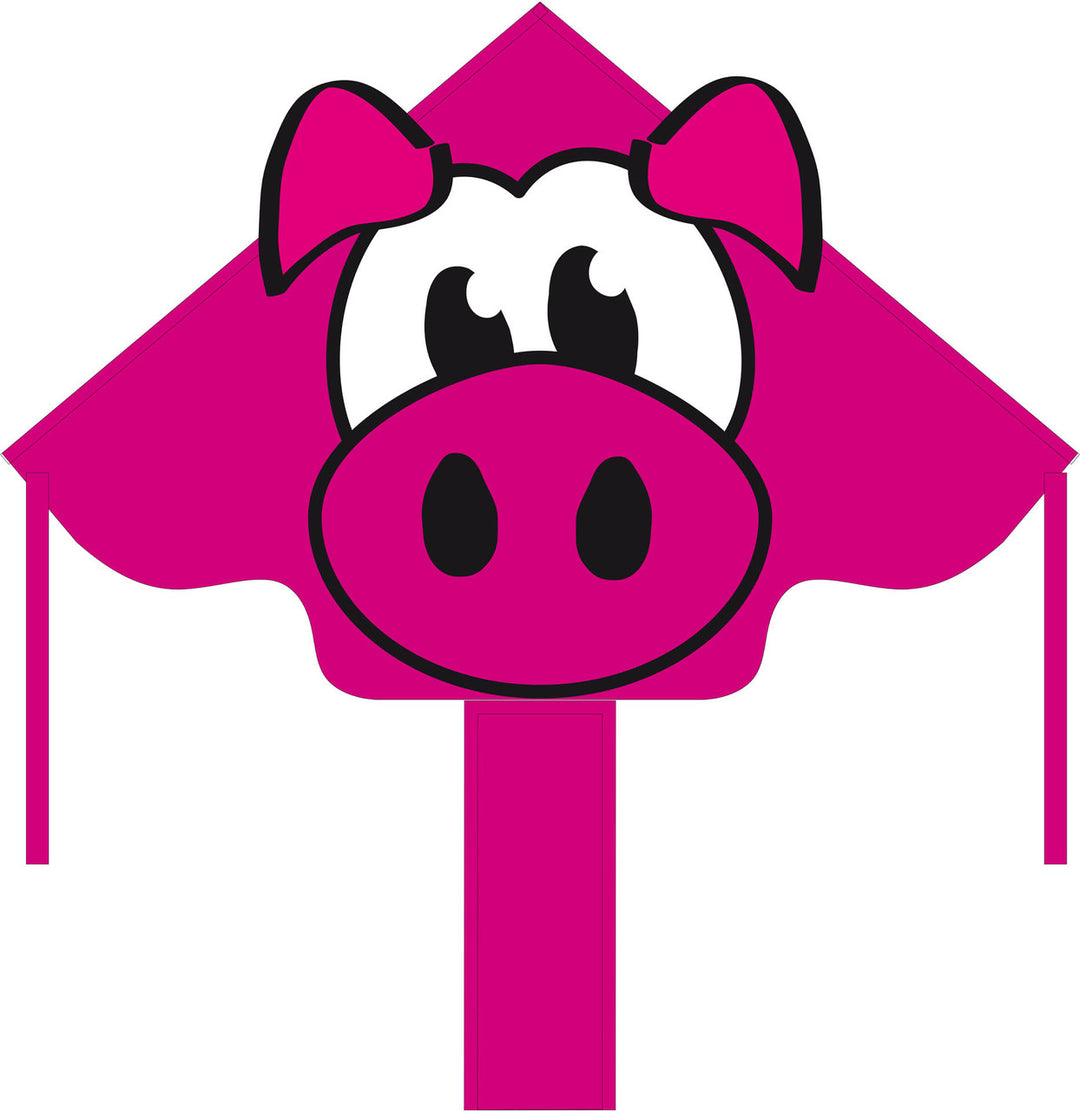 Simple Flyer Piggy