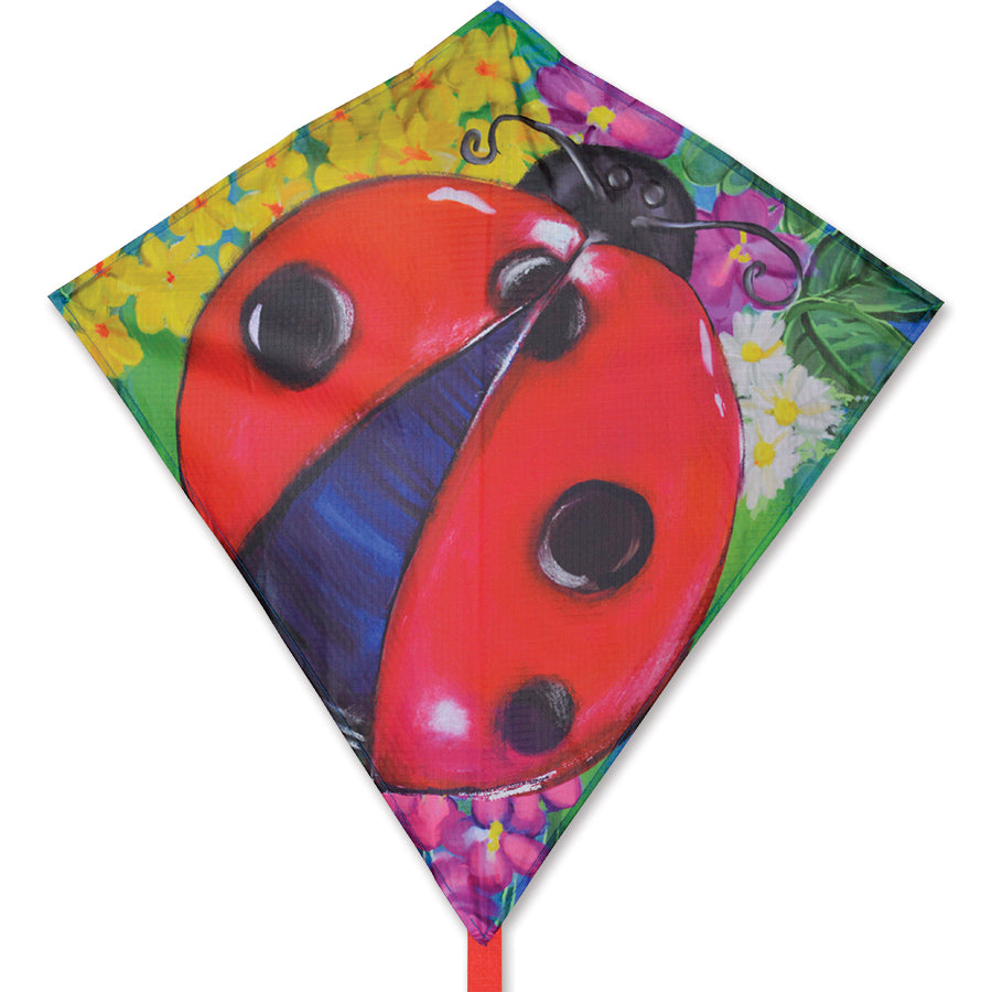25 inch Diamond (Ladybug)