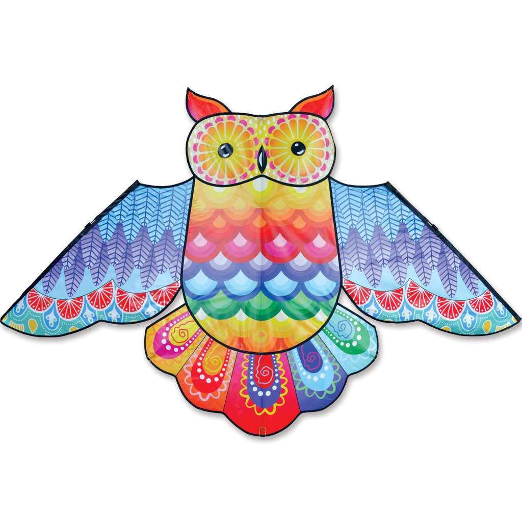 70" Rainbow Owl Bird Kite