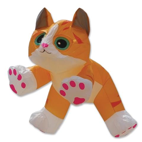 8 Ft. Ginger Tabby Kitten