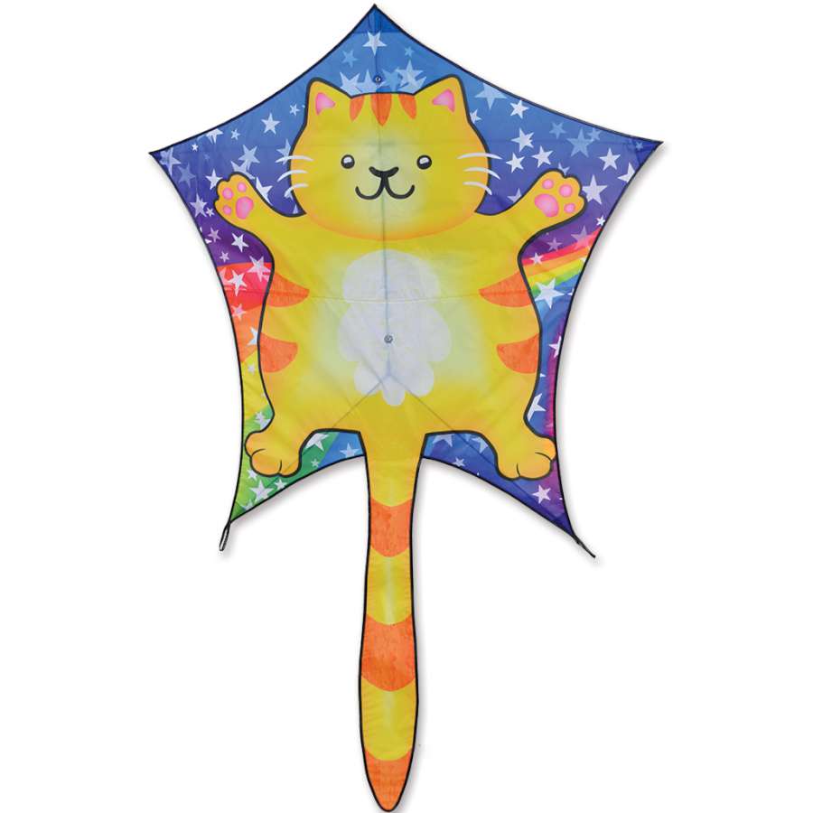 Penta Kite - Chubby Cat
