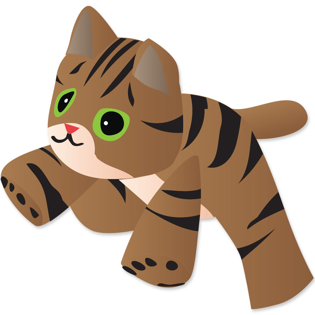 8 Ft. Brown Tabby Kitten