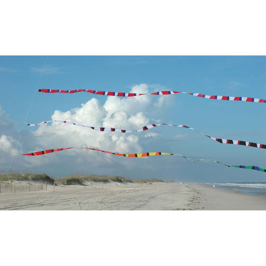 3 in. x 50 ft. Transition Tail - Black/White