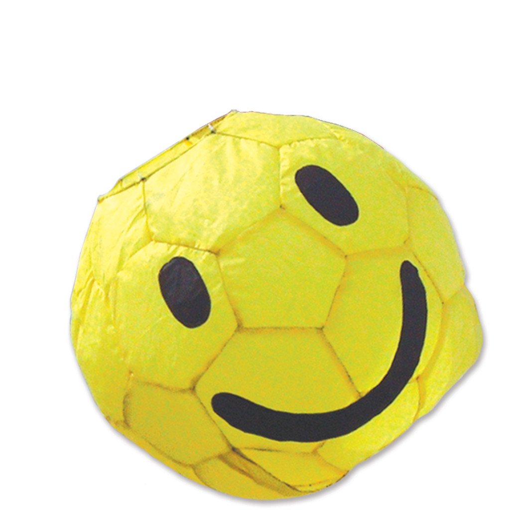 13" Smiley Ball with 60" Pole & Wall Mount