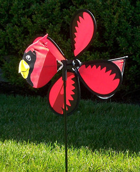 Baby Bird (Cardinal)