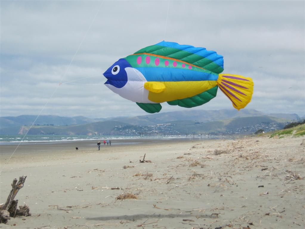 8 Ft. Peacock Wrasse Line Laundry