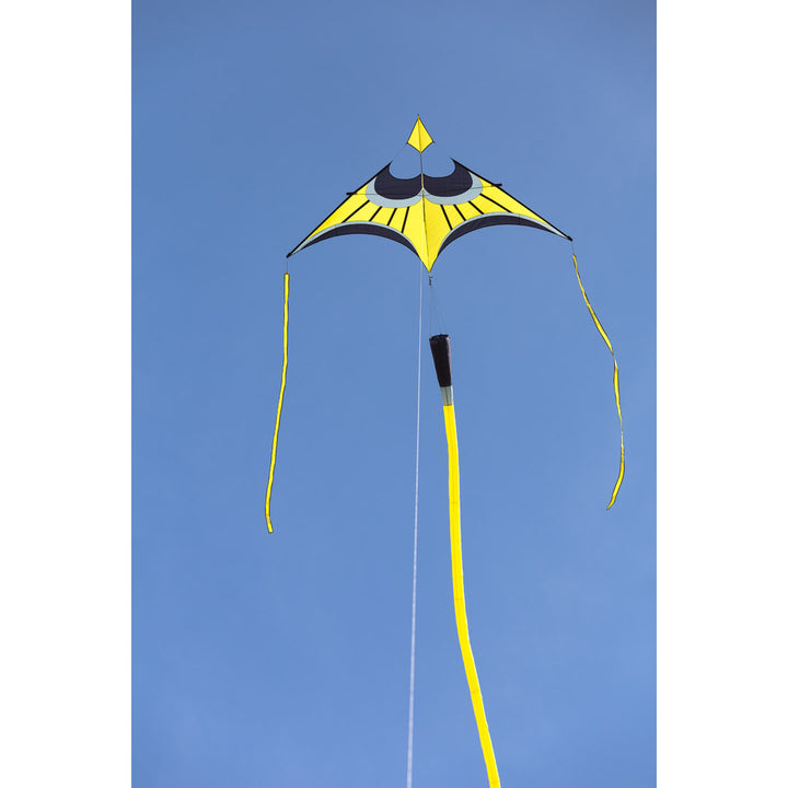 Hoffmanns Canard Delta - Yellow