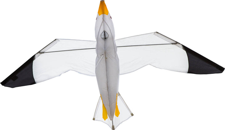 Seagull 3D
