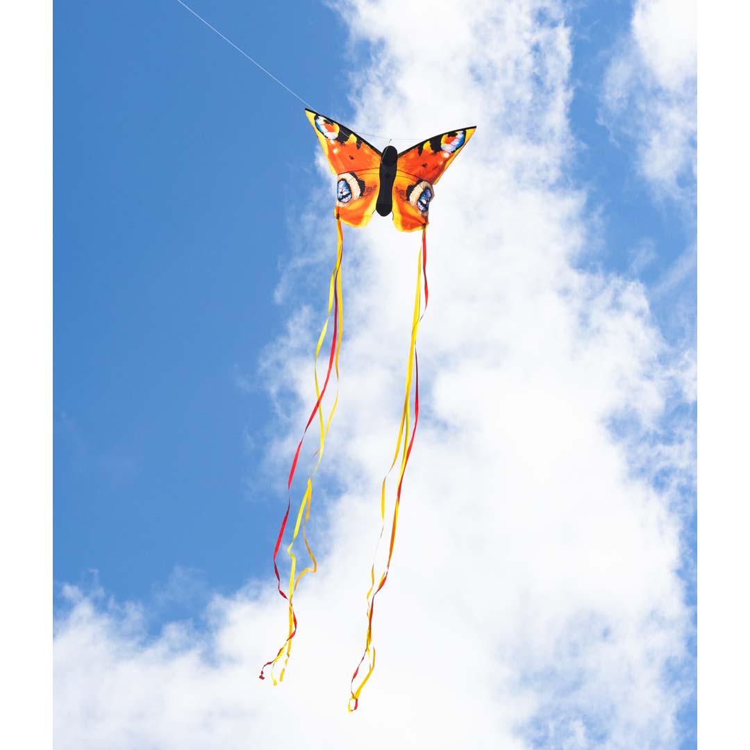 BUTTERFLY KITE PEACOCK 'L'
