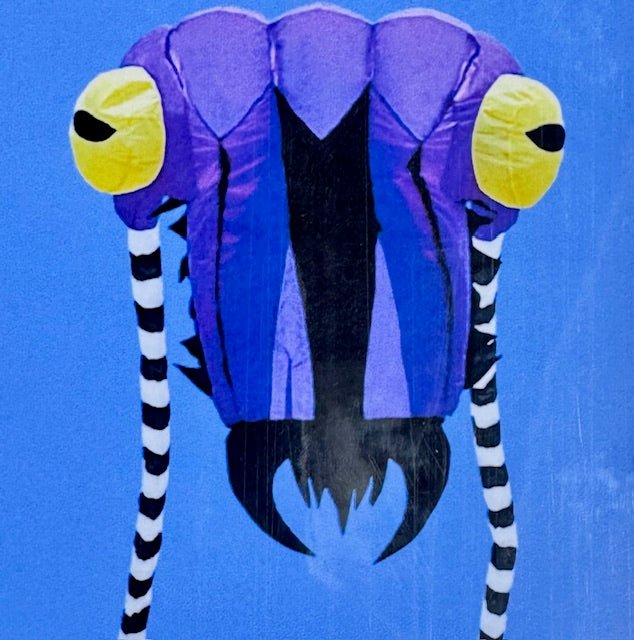 10M Trilobite Inflatable - Picture Pretty Kites10M Trilobite InflatableSingle Line Kites/Specialty Kites;Single Line Kites/Specialty Kites/Inflatable KitesPicture Pretty Kites20671713Purple10M Trilobite Inflatable