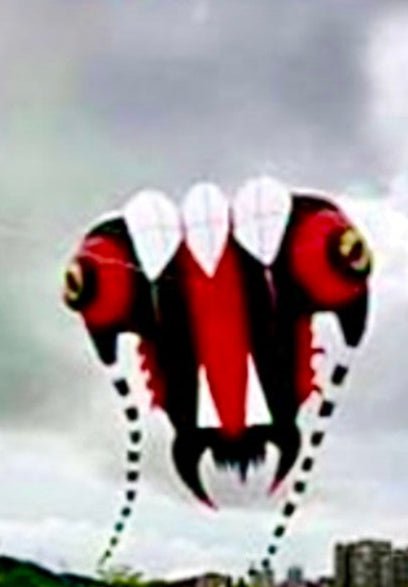 10M Trilobite Inflatable - Picture Pretty Kites10M Trilobite InflatableSingle Line Kites/Specialty Kites;Single Line Kites/Specialty Kites/Inflatable KitesTrilobite White/RedPicture Pretty KitesTrilobite White/Red93546465White/Red10M Trilobite Inflatable