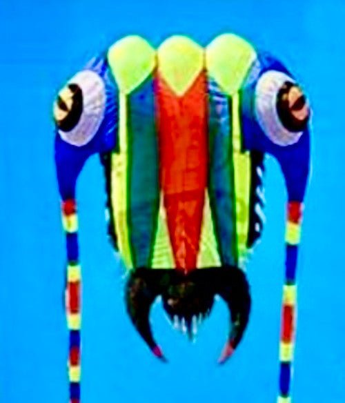 10M Trilobite Inflatable - Picture Pretty Kites10M Trilobite InflatableSingle Line Kites/Specialty Kites;Single Line Kites/Specialty Kites/Inflatable KitesTrilobite Yellow/BluePicture Pretty KitesTrilobite Yellow/Blue61302497Yellow/Blue10M Trilobite Inflatable
