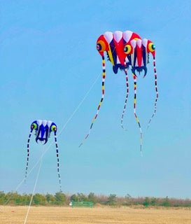 10M Trilobite Inflatable - Picture Pretty Kites10M Trilobite InflatableSingle Line Kites/Specialty Kites;Single Line Kites/Specialty Kites/Inflatable KitesTrilobite Yellow/BluePicture Pretty KitesTrilobite Yellow/Blue61302497Yellow/Blue10M Trilobite Inflatable