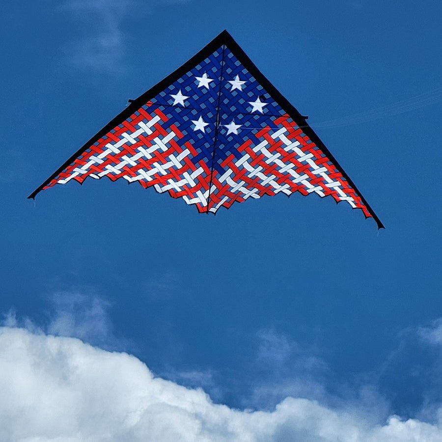 11 ft. Mesh Delta - Patriotic - Picture Pretty Kites11 ft. Mesh Delta - PatrioticSingle Line Kites;Single Line Kites/Delta Kites;Single Line Kites/Easy Flyer Kites;Starter Kites;Brands/Premier KitesPR45354/D40Picture Pretty KitesPR45354/D403759203311 ft. Mesh Delta - Patriotic