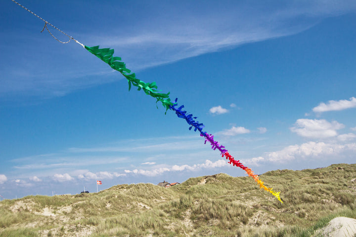 Fringe Tail - 23Ft