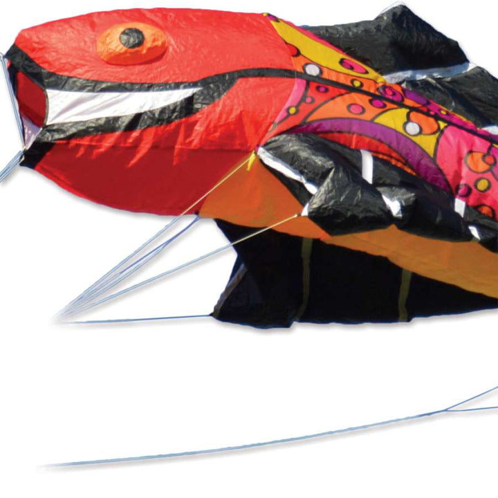 Large Flying Fish - Warm Orbit