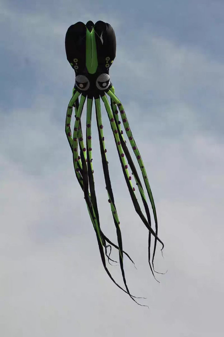12M Octopus 4 Color - Picture Pretty Kites12M Octopus 4 ColorSingle Line Kites/Specialty Kites;Single Line Kites/Specialty Kites/Inflatable KitesPicture Pretty Kitesgreen/black12M Octopus 4 Color