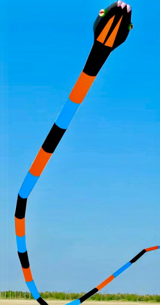 180' Inflatable Snake Kite - Black/Blue/Red – Picture Pretty Kites