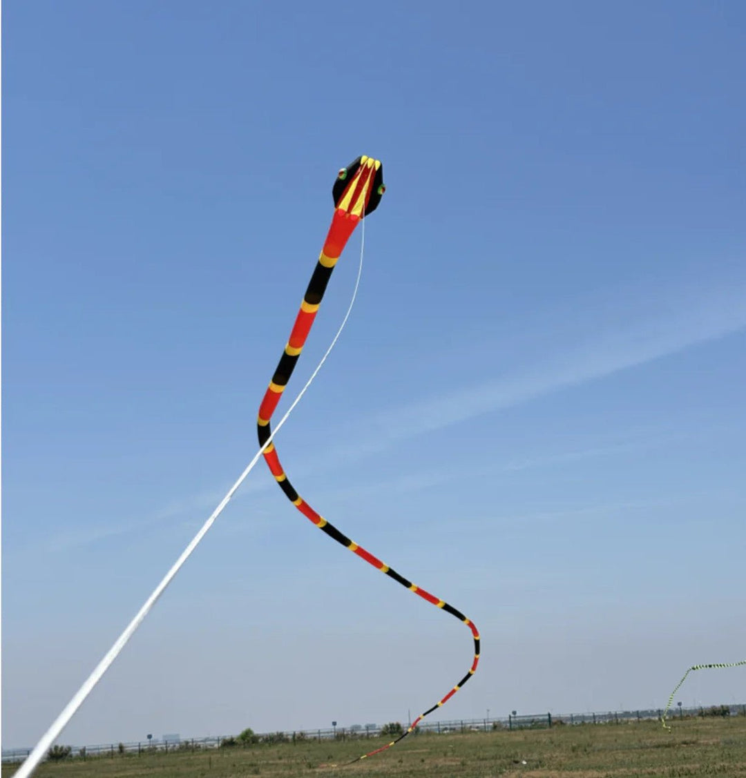 180' Inflatable Snake Kite - Black/Red - Picture Pretty Kites180' Inflatable Snake Kite - Black/RedSingle Line Kites/Specialty Kites;Single Line Kites/Specialty Kites/Inflatable Kites55m Inflatable Black/RedPicture Pretty Kites55m Inflatable Black/Red61400801180' Inflatable Snake Kite - Black/Red