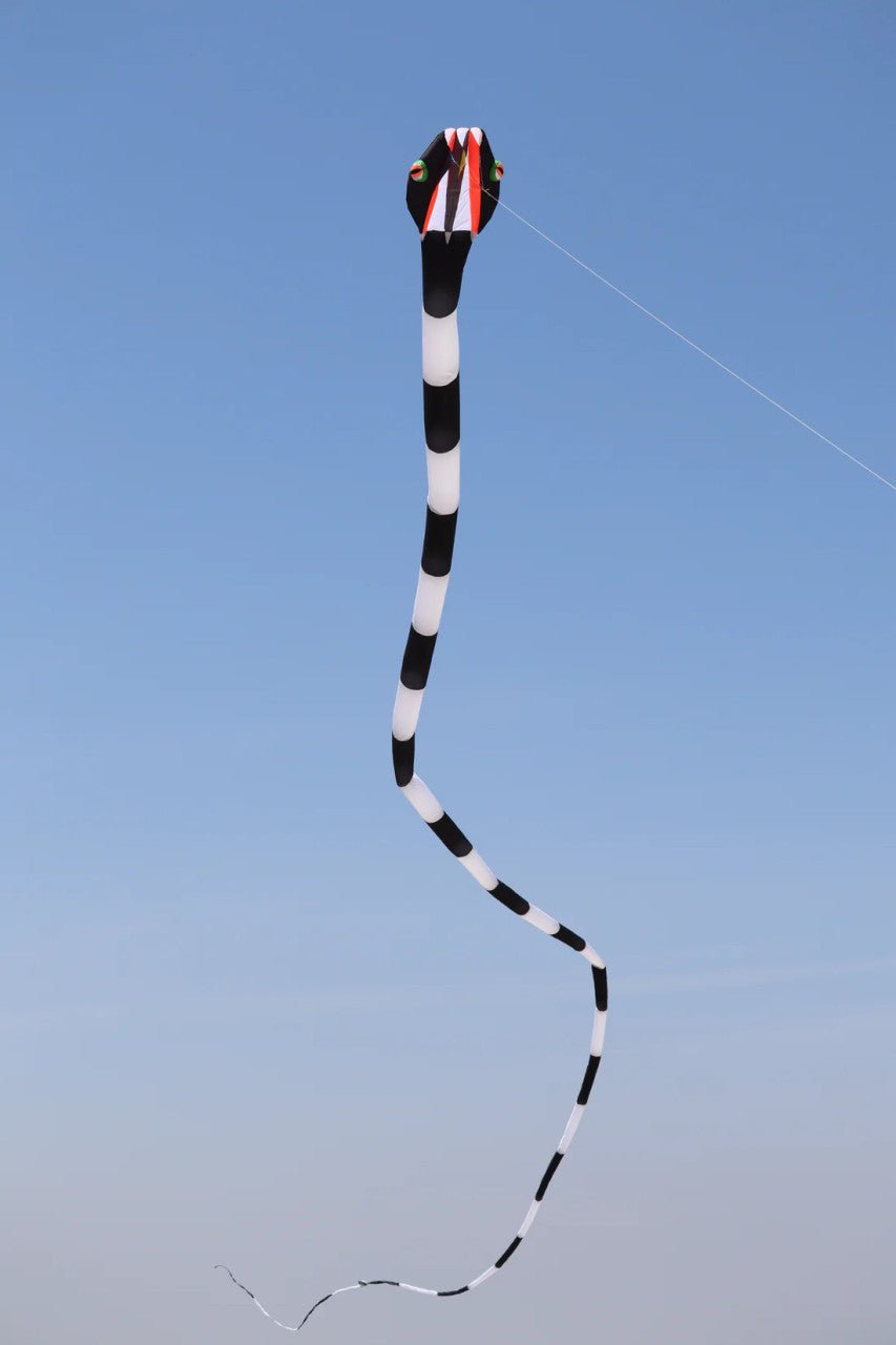 180' Inflatable Snake Kite - Black/White - Picture Pretty Kites180' Inflatable Snake Kite - Black/WhiteSingle Line Kites/Specialty Kites;Single Line Kites/Specialty Kites/Inflatable Kites55m Inflatable Snake Kite - Black/WhitePicture Pretty Kites55m Inflatable Snake Kite - Black/White61368033180' Inflatable Snake Kite - Black/White