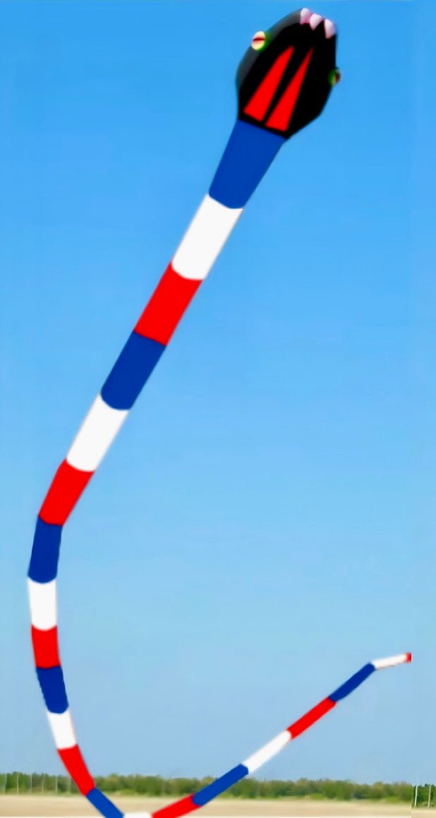 Red Inflatable Snake 180' Inflatable Snake Kite - Red/White/Blue – Picture Pretty Kites