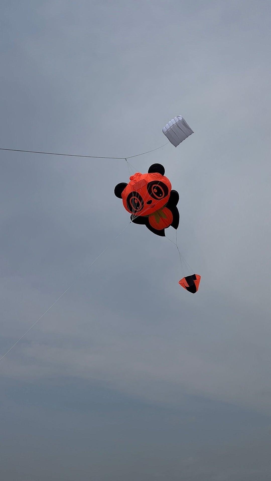 1M and 2M Inflatable panda bears - Picture Pretty Kites1M and 2M Inflatable panda bearsSingle Line Kites/Animal Kites;Single Line Kites/Specialty Kites/Inflatable KitesPicture Pretty Kites1M red1M and 2M Inflatable panda bears
