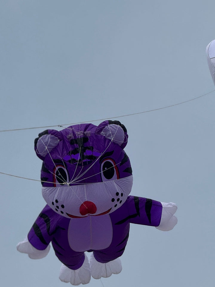 2.5 Meter Inflatable Tiger - Picture Pretty Kites2.5 Meter Inflatable TigerSingle Line Kites/Animal Kites;Single Line Kites/Specialty Kites/Inflatable KitesPicture Pretty KitesGray2.5 Meter Inflatable Tiger
