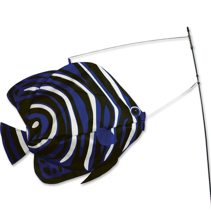 Swimming Fish - Korean Angelfish