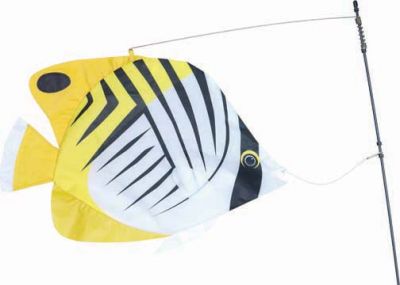 Fish - Threadfin Butterfly Fish