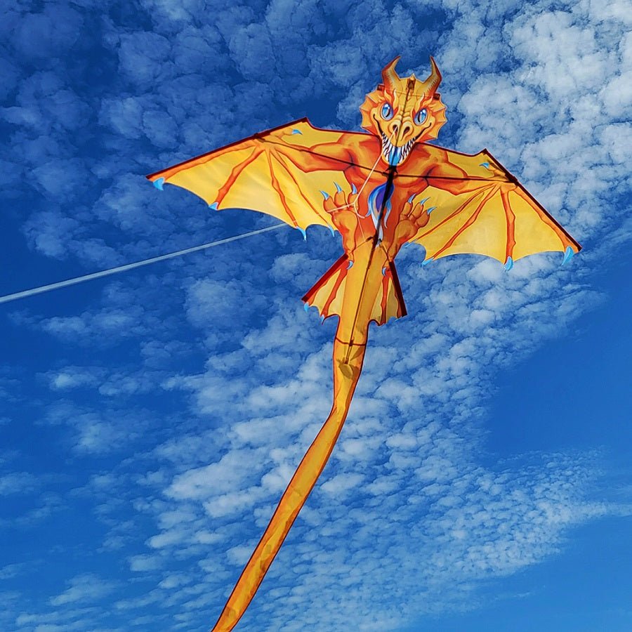2D Dragon Kite - Flamewing - Picture Pretty Kites2D Dragon Kite - FlamewingSingle Line Kites;Single Line Kites/Animal Kites;Single Line Kites/Animal Kites/Bird Kites;Brands/Premier KitesPR44956 /D46Picture Pretty KitesPR44956 /D46706741452D Dragon Kite - Flamewing