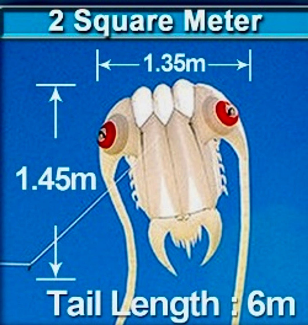 2M Trilobite Inflatable - Picture Pretty Kites2M Trilobite InflatableSingle Line Kites/Specialty Kites;Single Line Kites/Specialty Kites/Inflatable KitesTrilobite2 White/RedPicture Pretty KitesTrilobite2 White/Red98559969White/Red2M Trilobite Inflatable