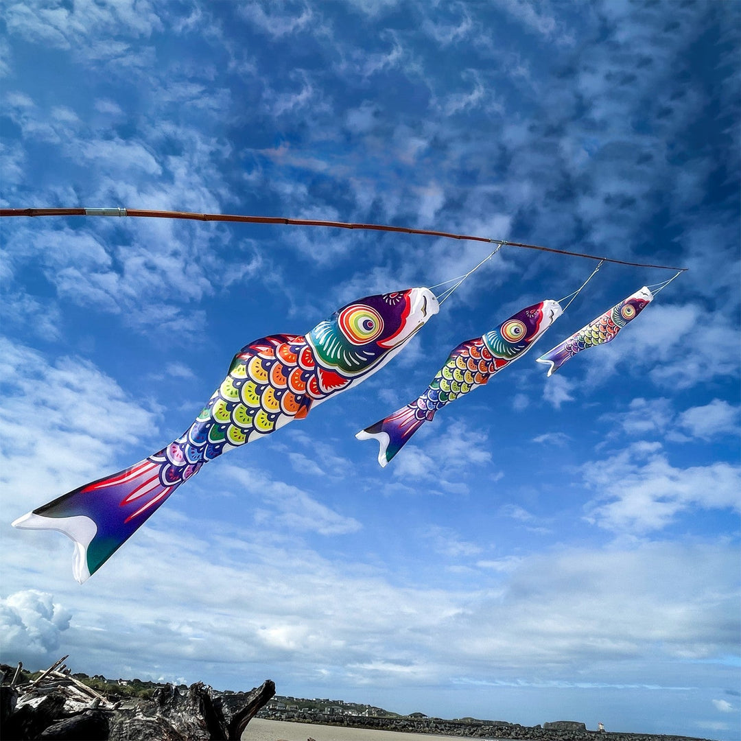 3' SPECTRUM KOI FISHSOCK - Picture Pretty Kites3' SPECTRUM KOI FISHSOCKGarden Art, windsocks, and wind spinners;Garden Art, windsocks, and wind spinners/Windsocks;Brands/In The BreezeITB4117 /T16Picture Pretty KitesITB4117 /T16535037133' SPECTRUM KOI FISHSOCK