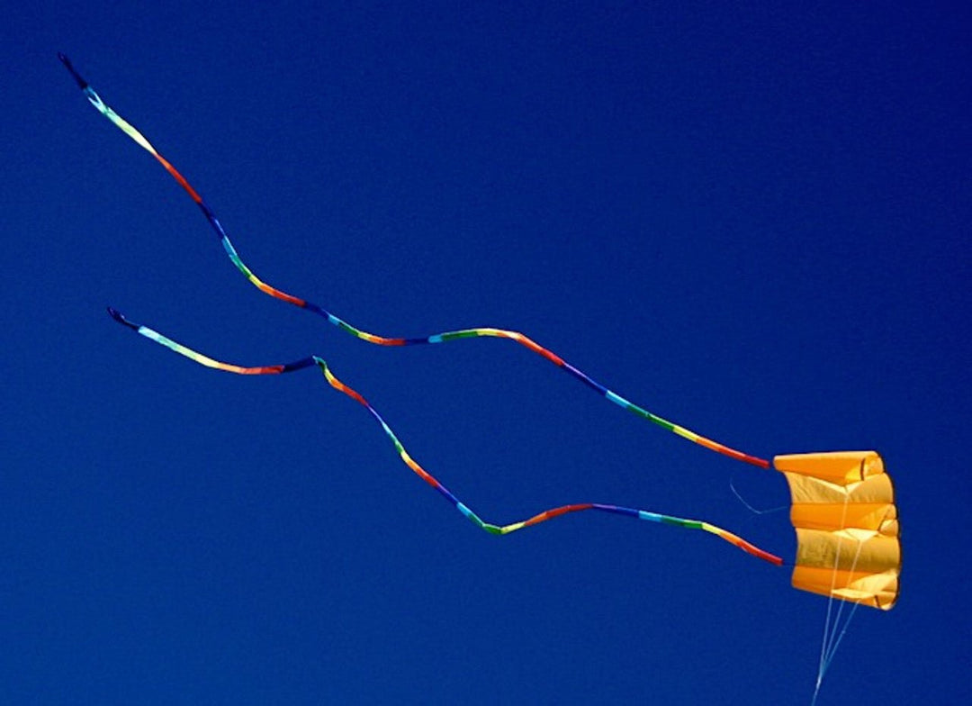 36 Power Sled - Mango - Picture Pretty Kites36 Power Sled - MangoSingle Line Kites;Single Line Kites/Parafoil Kites and Sled Kites;Brands/Premier KitesPR12754Picture Pretty KitesPR1275463010412754136 Power Sled - Mango