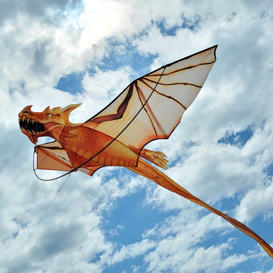 3D Dragon Kite - Goldenscale - Picture Pretty Kites3D Dragon Kite - GoldenscaleSingle Line Kites;Single Line Kites/Dragon Kites;Single Line Kites/Specialty Kites;Brands/Premier Kites;Featured Products;Featured Products/Featured ProductsPR46222Picture Pretty KitesPR46222981337293D Dragon Kite - Goldenscale