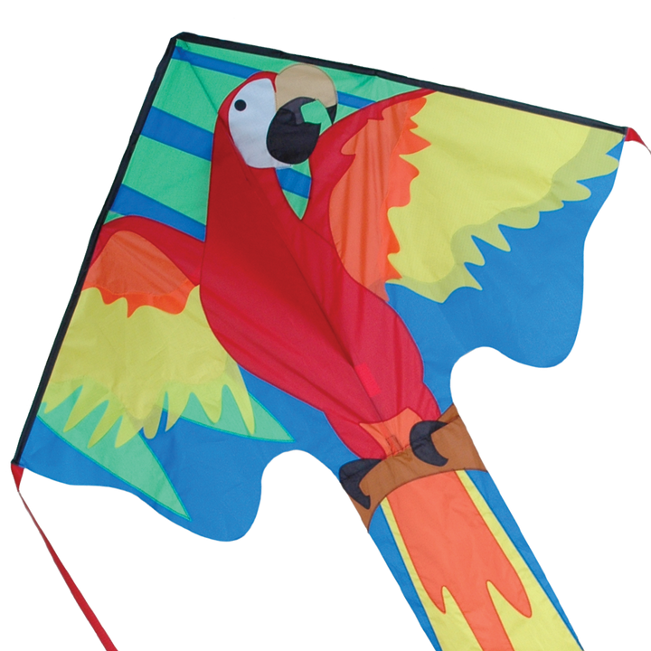 Large Easy Flyer (Macaw)