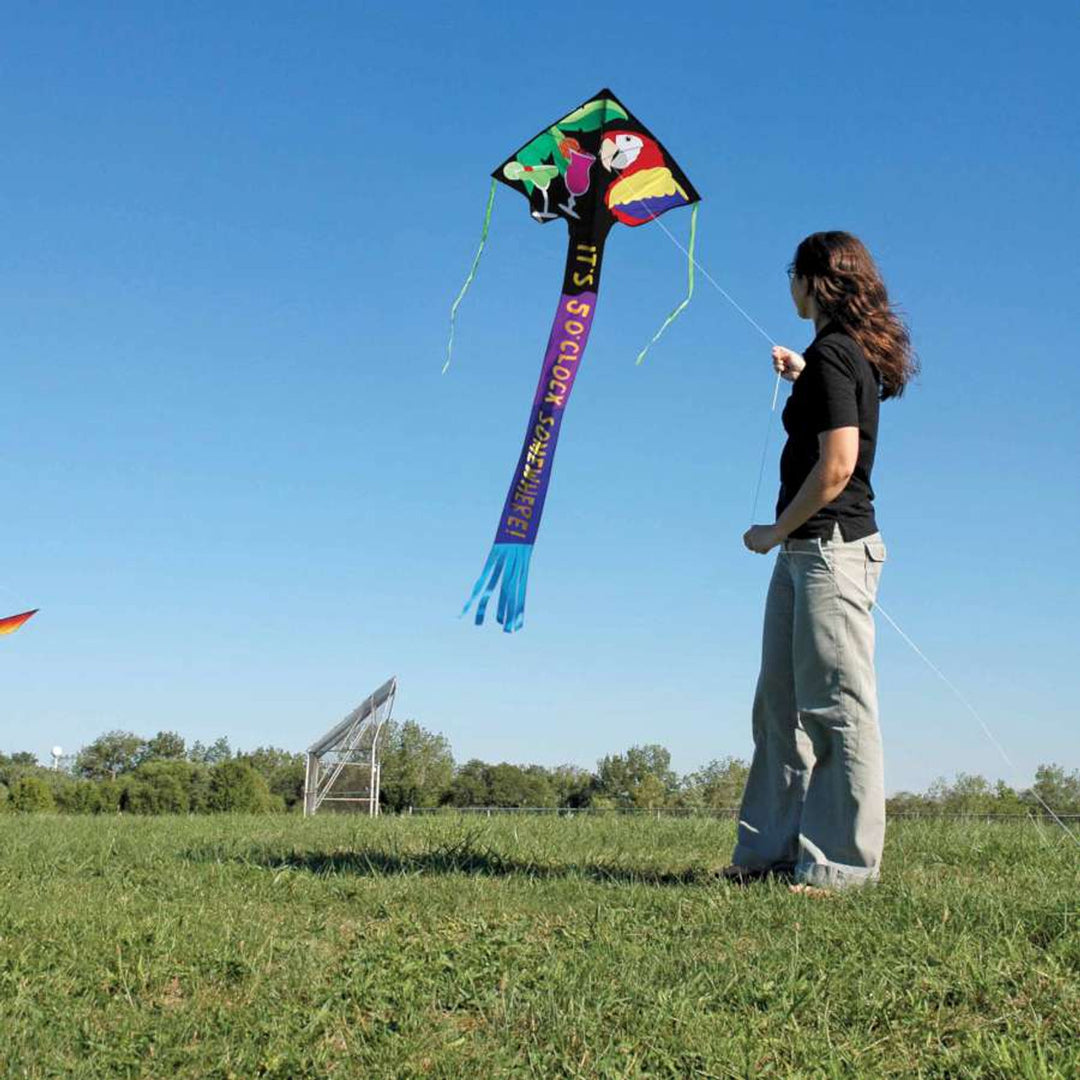 Jumbo Easy Flyer Kite - 5 O'Clock Somewhere