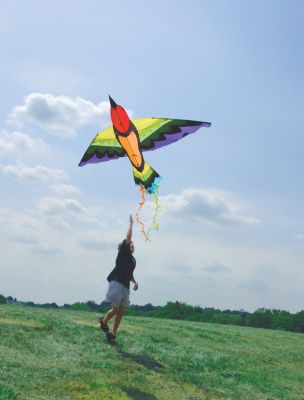 Rainbow Bird Kite