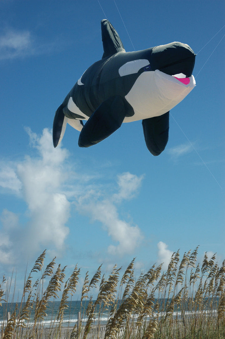 Killer Whale - Inflatable
