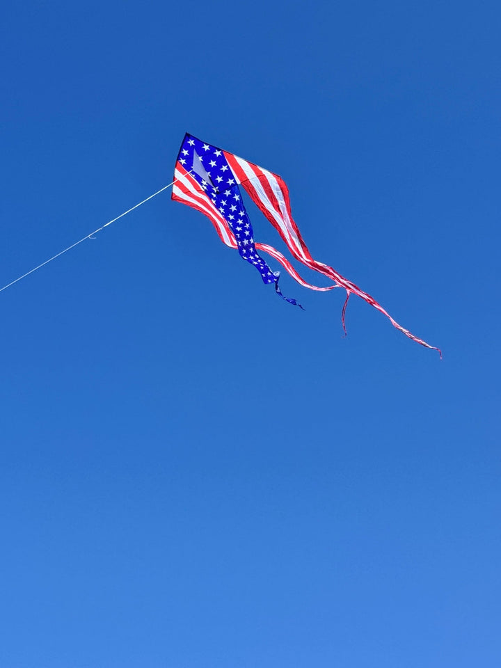 46 in. Flo - Train Delta Kite - Patriotic (Single Kite) - Picture Pretty Kites46 in. Flo - Train Delta Kite - Patriotic (Single Kite)Single Line Kites;Single Line Kites/Animal Kites;Single Line Kites/Animal Kites/Bird Kites;Single Line Kites/Delta Kites;Single Line Kites/Specialty Kites;Brands/Premier KitesPR33369 / B4Picture Pretty KitesPR33369 / B463010433369046 in. Flo - Train Delta Kite - Patriotic (Single Kite)