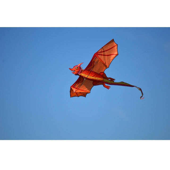 3D Dragon - Emberscale Kite