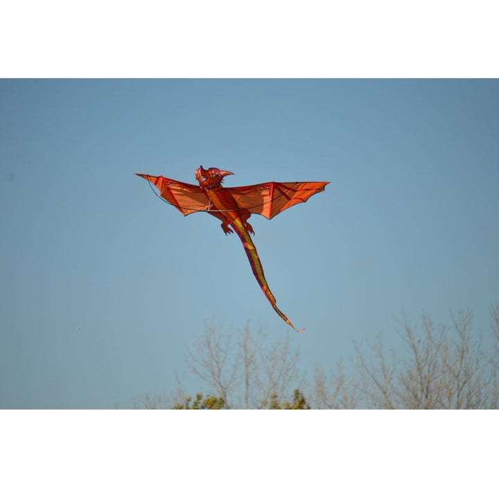 3D Dragon - Emberscale Kite