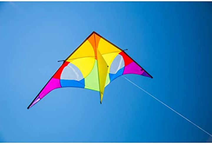 9.8 Ft. Rainbow Delta