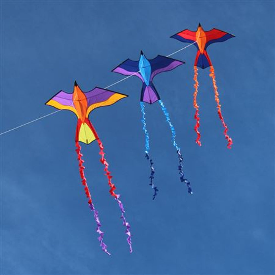 Sapphire Parrot