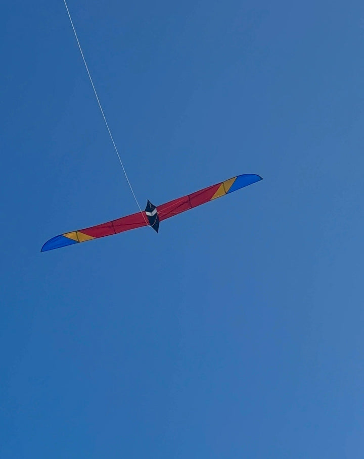 5.6M Long Bird - Picture Pretty Kites5.6M Long BirdSingle Line Kites;Single Line Kites/Animal Kites;Single Line Kites/Animal Kites/Bird Kites;Single Line Kites/Specialty Kites;Brands/Into The Wind5.6 BirdPicture Pretty Kites5.6 BirdYellow/Blue/Red5.6M Long Bird