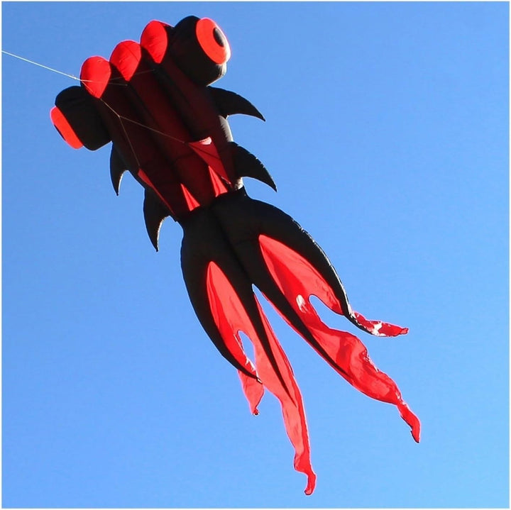 Inflatable Goldfish Kite