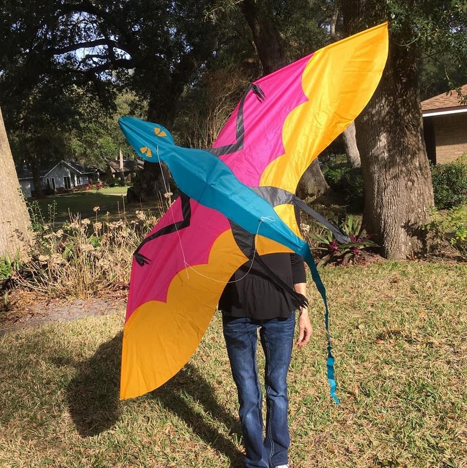 72" Dimorphodon by Joel Scholz - Picture Pretty Kites72" Dimorphodon by Joel ScholzSingle Line Kites;Single Line Kites/Animal Kites;Brands/Skydog KitesSD10055Picture Pretty KitesSD1005581309501055372" Dimorphodon by Joel Scholz