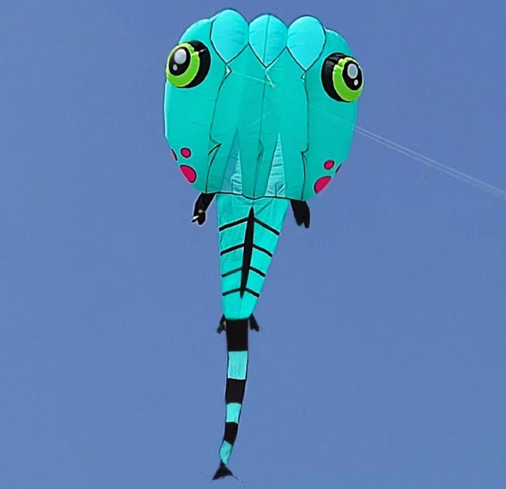 8sqm Tadpole Inflatable - Picture Pretty Kites8sqm Tadpole InflatableKite Accessories;Single Line Kites;Single Line Kites/Specialty Kites;Single Line Kites/Specialty Kites/Inflatable Kites ;Brands/Premier Kites8sqm Tadpole  Inflatable  3 color-2Picture Pretty Kites8sqm Tadpole  Inflatable  3 color-289361121Teal8sqm Tadpole Inflatable