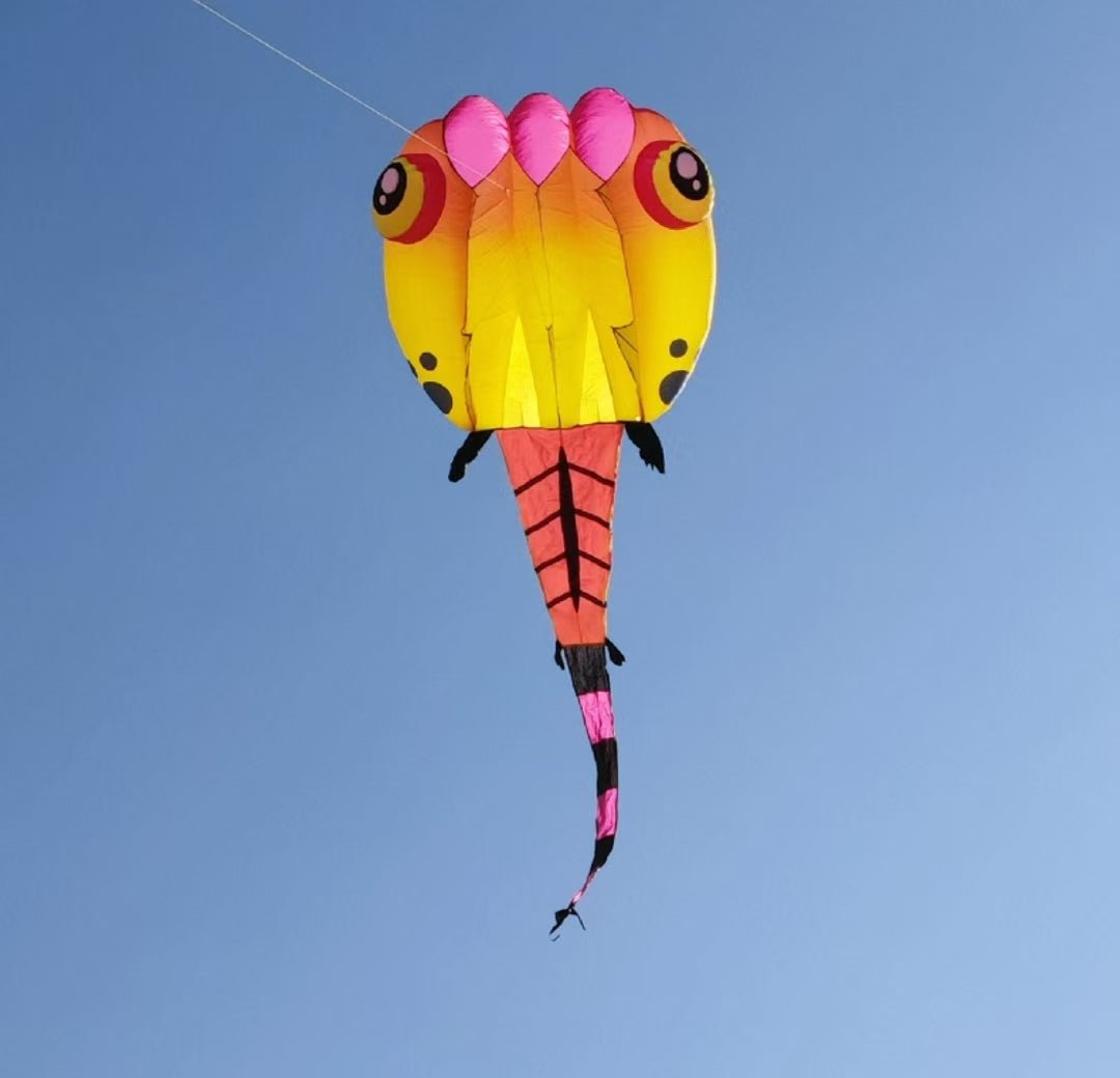 8sqm Tadpole Inflatable - Picture Pretty Kites8sqm Tadpole InflatableKite Accessories;Single Line Kites;Single Line Kites/Specialty Kites;Single Line Kites/Specialty Kites/Inflatable Kites ;Brands/Premier Kites8sqm Tadpole  Inflatable  3 color-3Picture Pretty Kites8sqm Tadpole  Inflatable  3 color-389393889Pink/Yellow8sqm Tadpole Inflatable