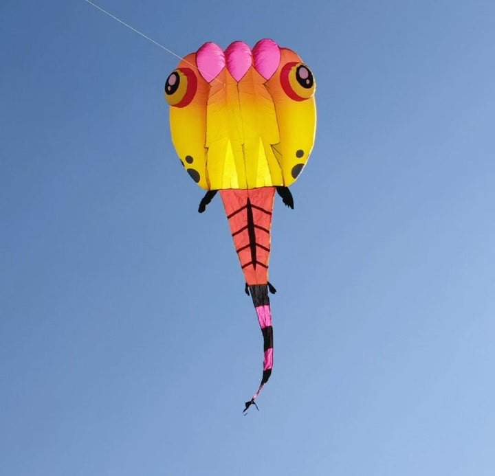 8sqm Tadpole Inflatable - Picture Pretty Kites8sqm Tadpole InflatableKite Accessories;Single Line Kites;Single Line Kites/Specialty Kites;Single Line Kites/Specialty Kites/Inflatable Kites ;Brands/Premier Kites8sqm Tadpole  Inflatable  3 color-3Picture Pretty Kites8sqm Tadpole  Inflatable  3 color-389393889Pink/Yellow8sqm Tadpole Inflatable