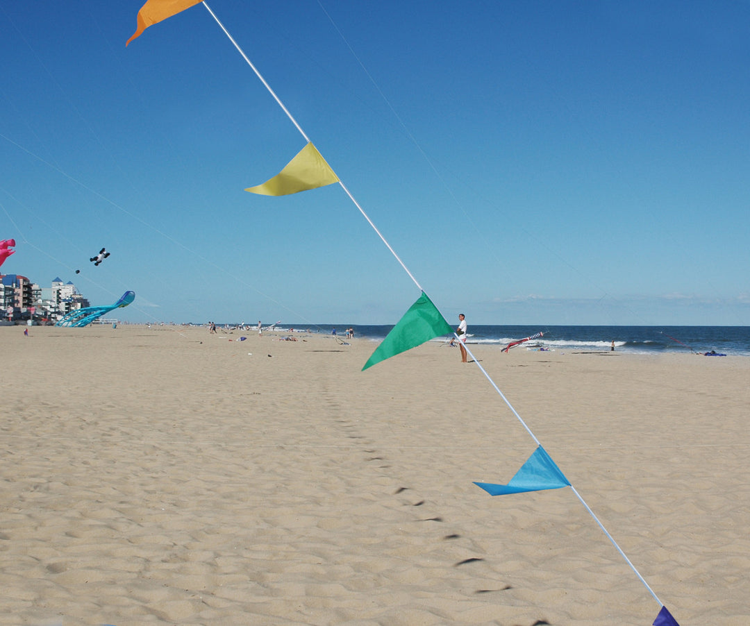 Flag Line (Rainbow)